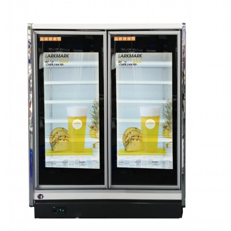 Built-in LED Logo Glass Door suppliers